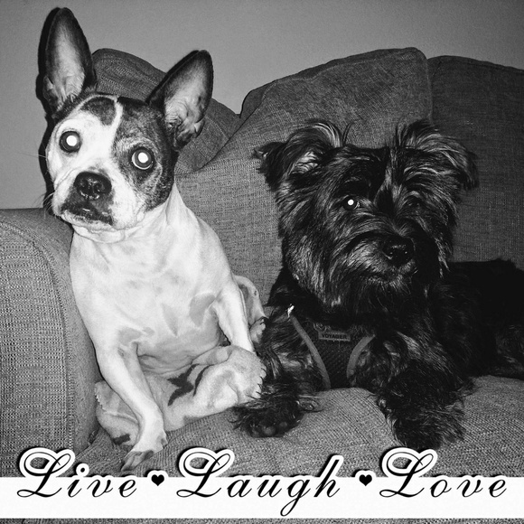 Meet your Posher, Kathie - Picture 1 of 1